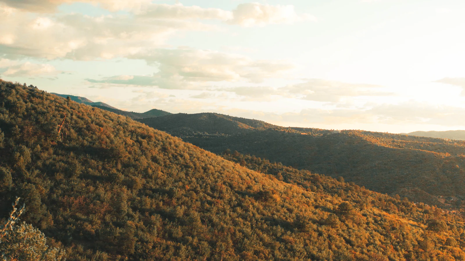 Wooded hills outside Prescott, Arizona, in evening light